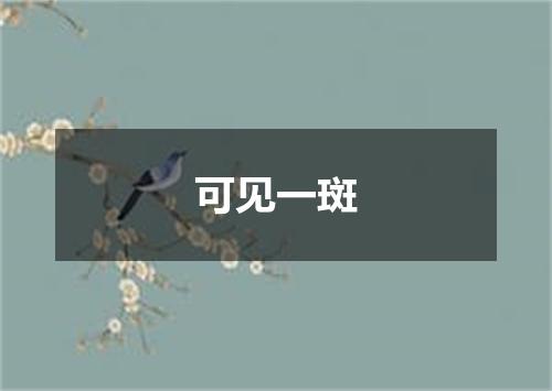 可见一斑