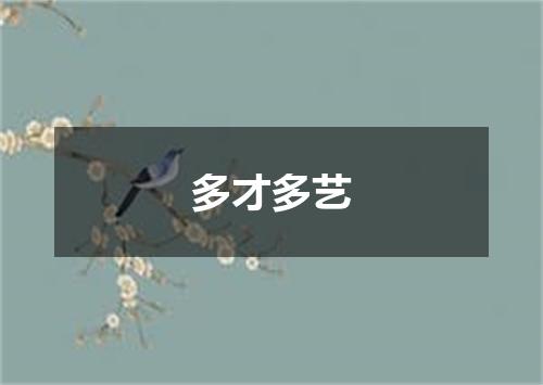 多才多艺