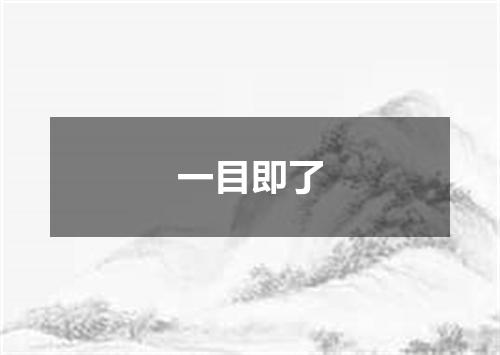一目即了