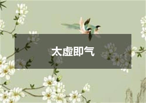 太虚即气