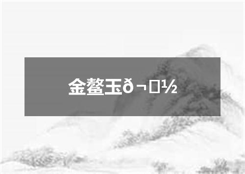 金鳌玉𬟽