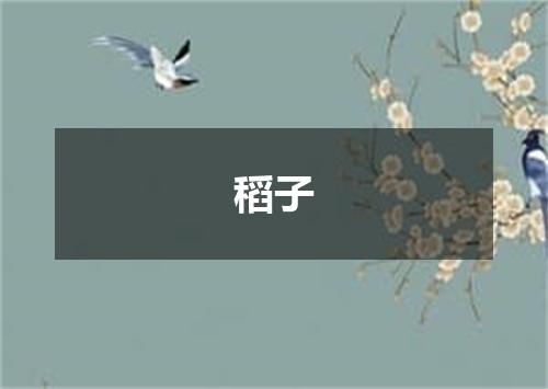 稻子