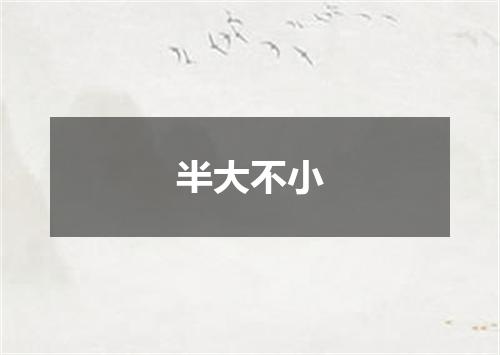 半大不小
