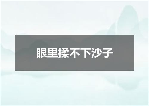 眼里揉不下沙子