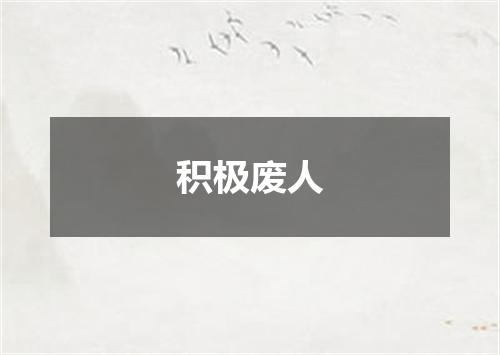 积极废人