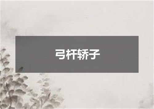 弓杆轿子