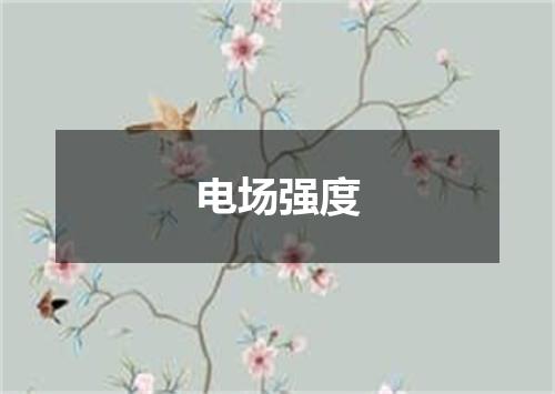 电场强度