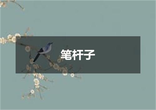笔杆子