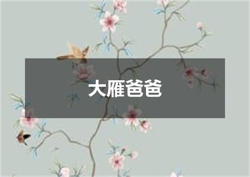 大雁爸爸