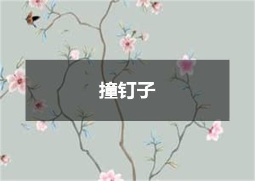 撞钉子