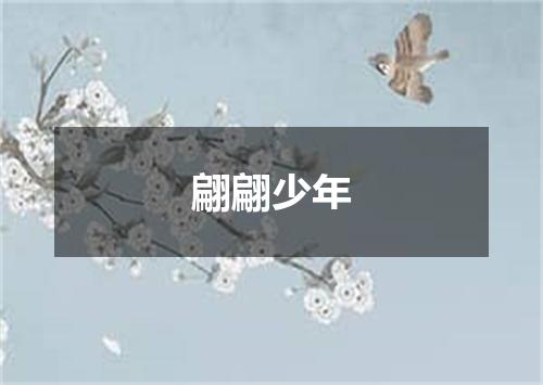 翩翩少年