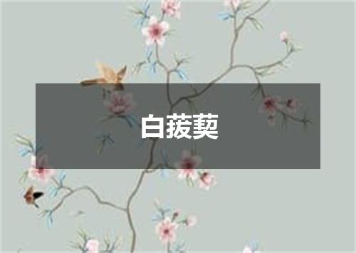 白菝葜