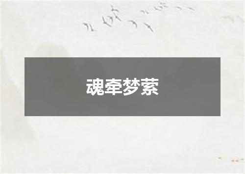 魂牵梦萦