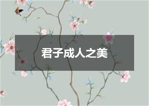 君子成人之美