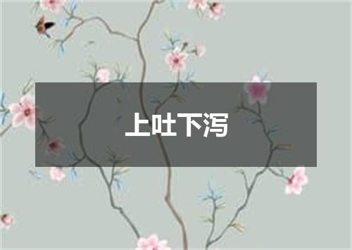 上吐下泻