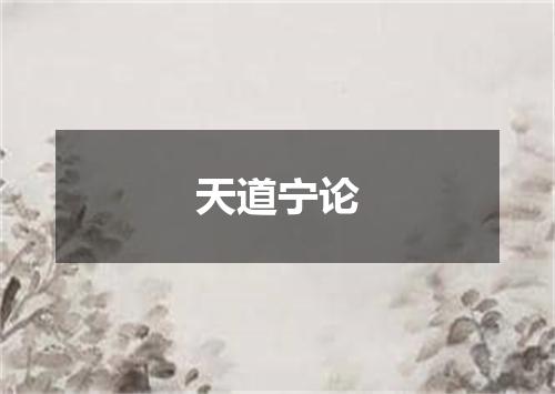 天道宁论
