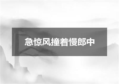 急惊风撞着慢郎中