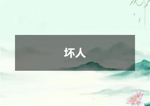 坏人