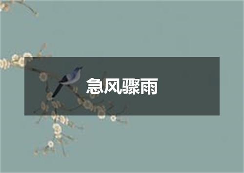 急风骤雨