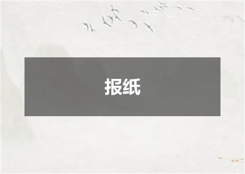 报纸