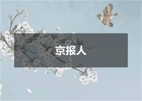 京报人