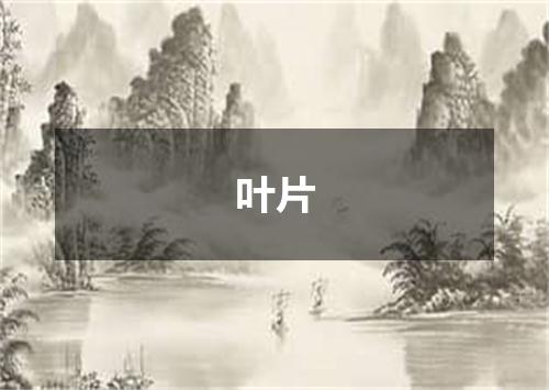 叶片