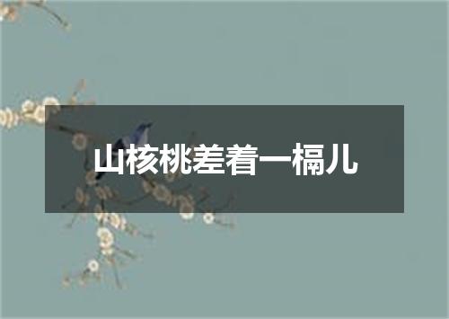 山核桃差着一槅儿