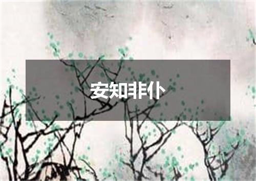 安知非仆