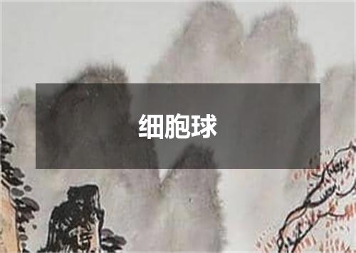 细胞球