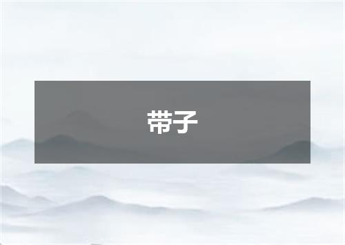 带子