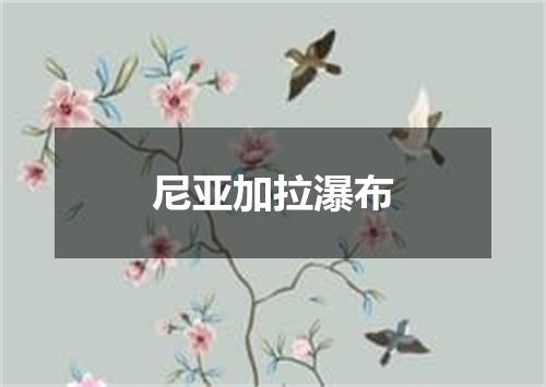 尼亚加拉瀑布