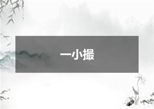 一小撮