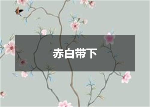 赤白带下
