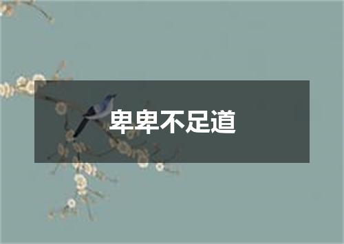 卑卑不足道