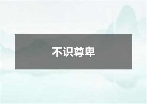 不识尊卑