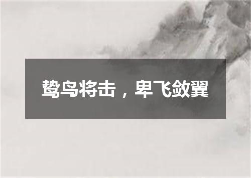 鸷鸟将击，卑飞敛翼