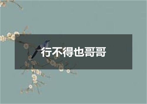 行不得也哥哥