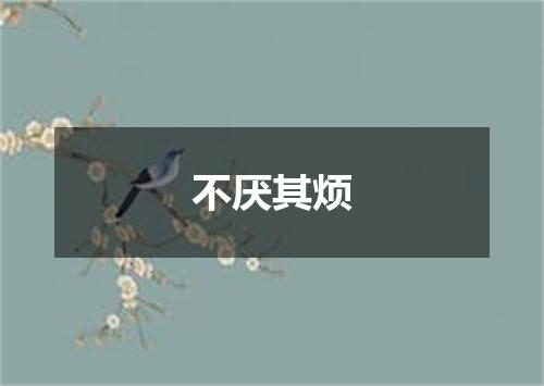 不厌其烦