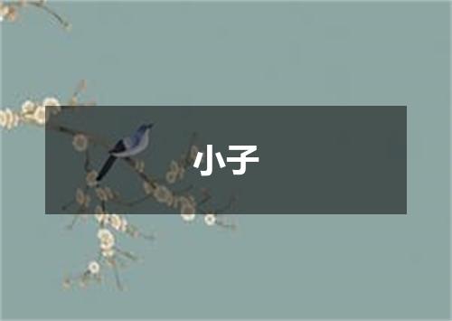 小子