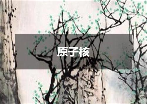 原子核