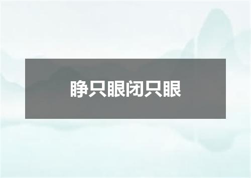 睁只眼闭只眼