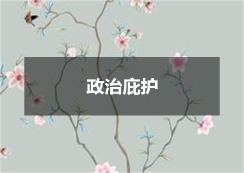 政治庇护