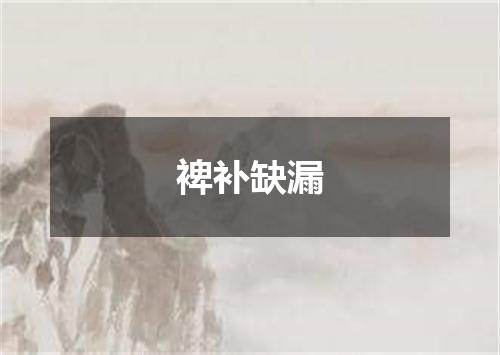 裨补缺漏