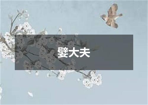 嬖大夫