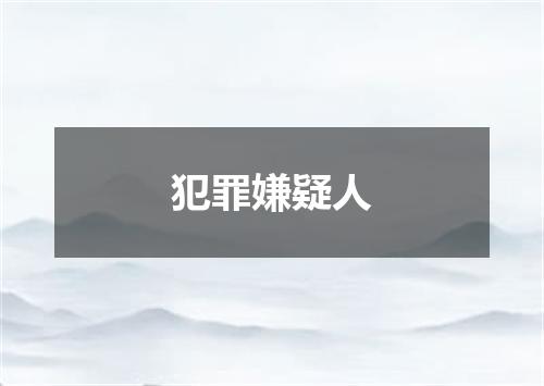 犯罪嫌疑人