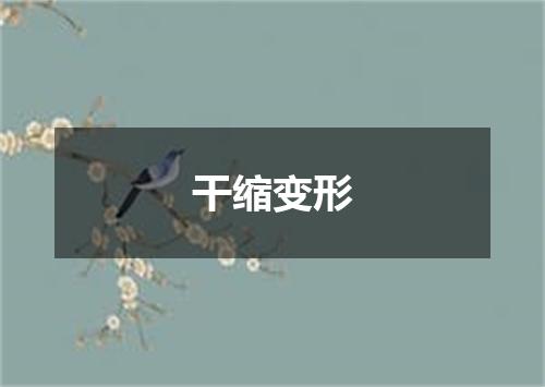 干缩变形