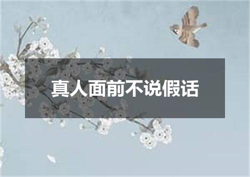 真人面前不说假话