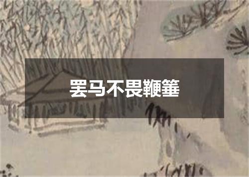 罢马不畏鞭箠