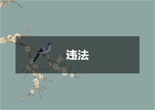 违法