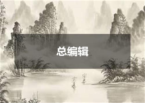 总编辑